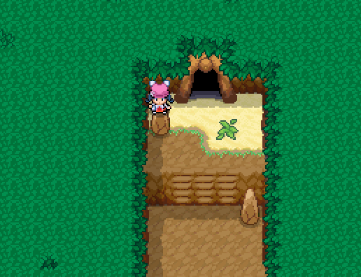 Cave entrance on a forest route