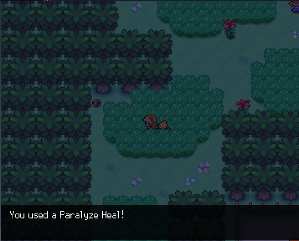 Night forest with follower Pokémon