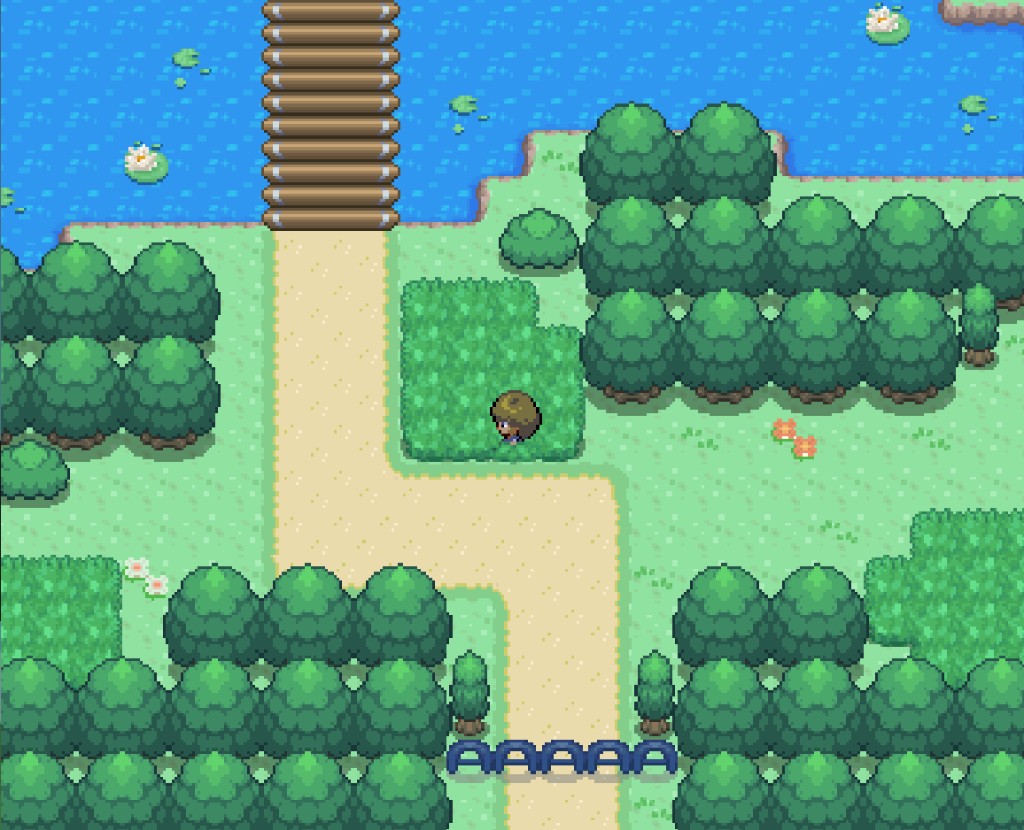 Route with bridge and tall grass